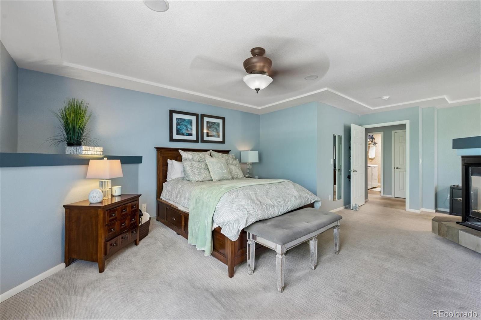 MLS Image #16 for 2529  cactus bloom court,castle rock, Colorado
