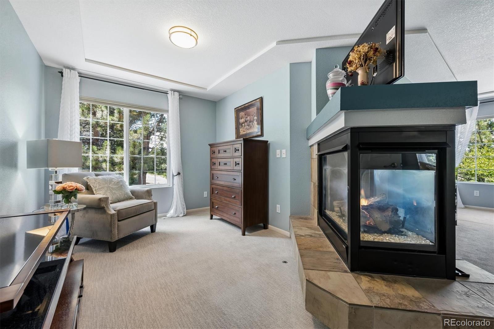MLS Image #18 for 2529  cactus bloom court,castle rock, Colorado