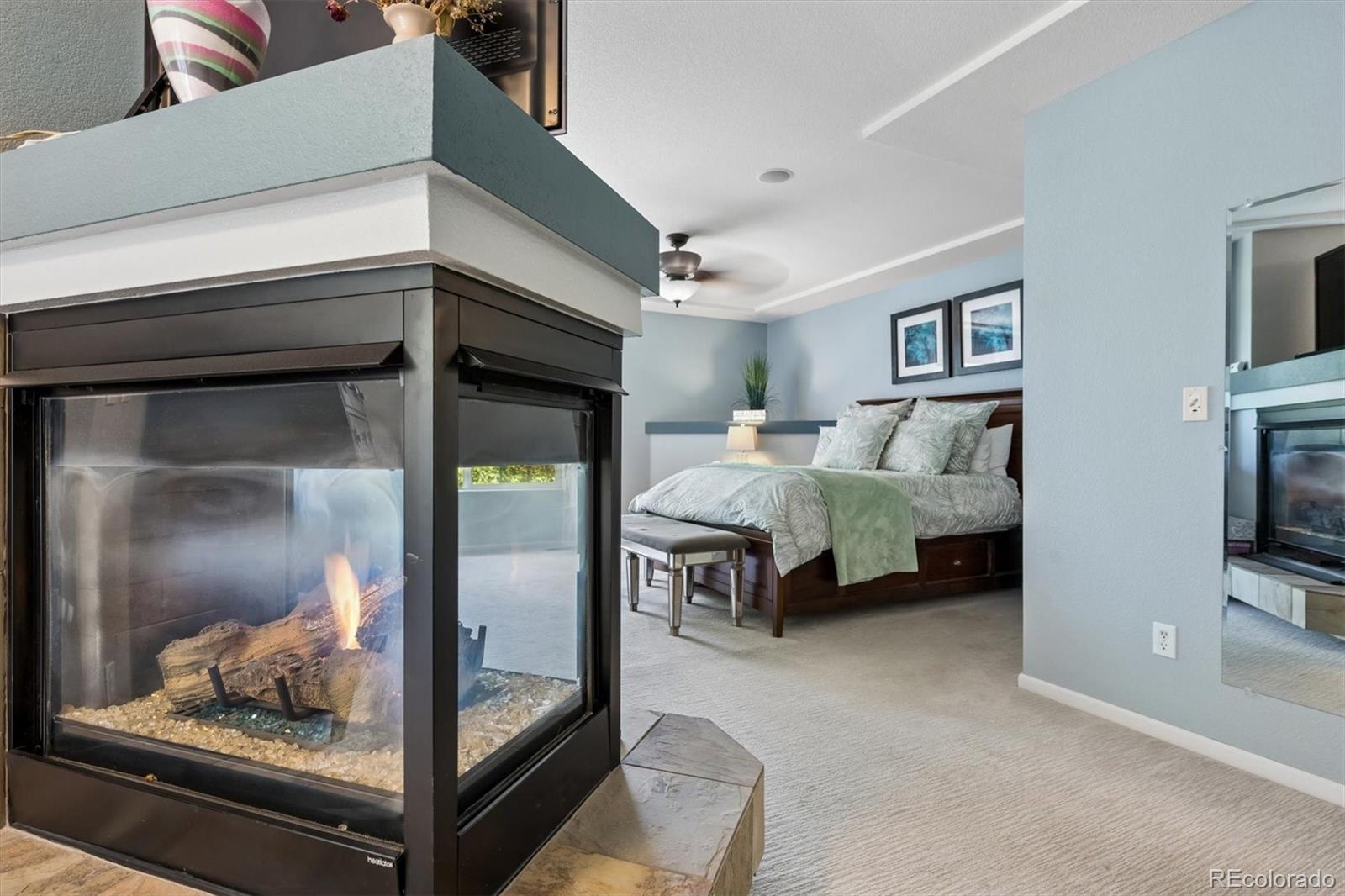 MLS Image #19 for 2529  cactus bloom court,castle rock, Colorado