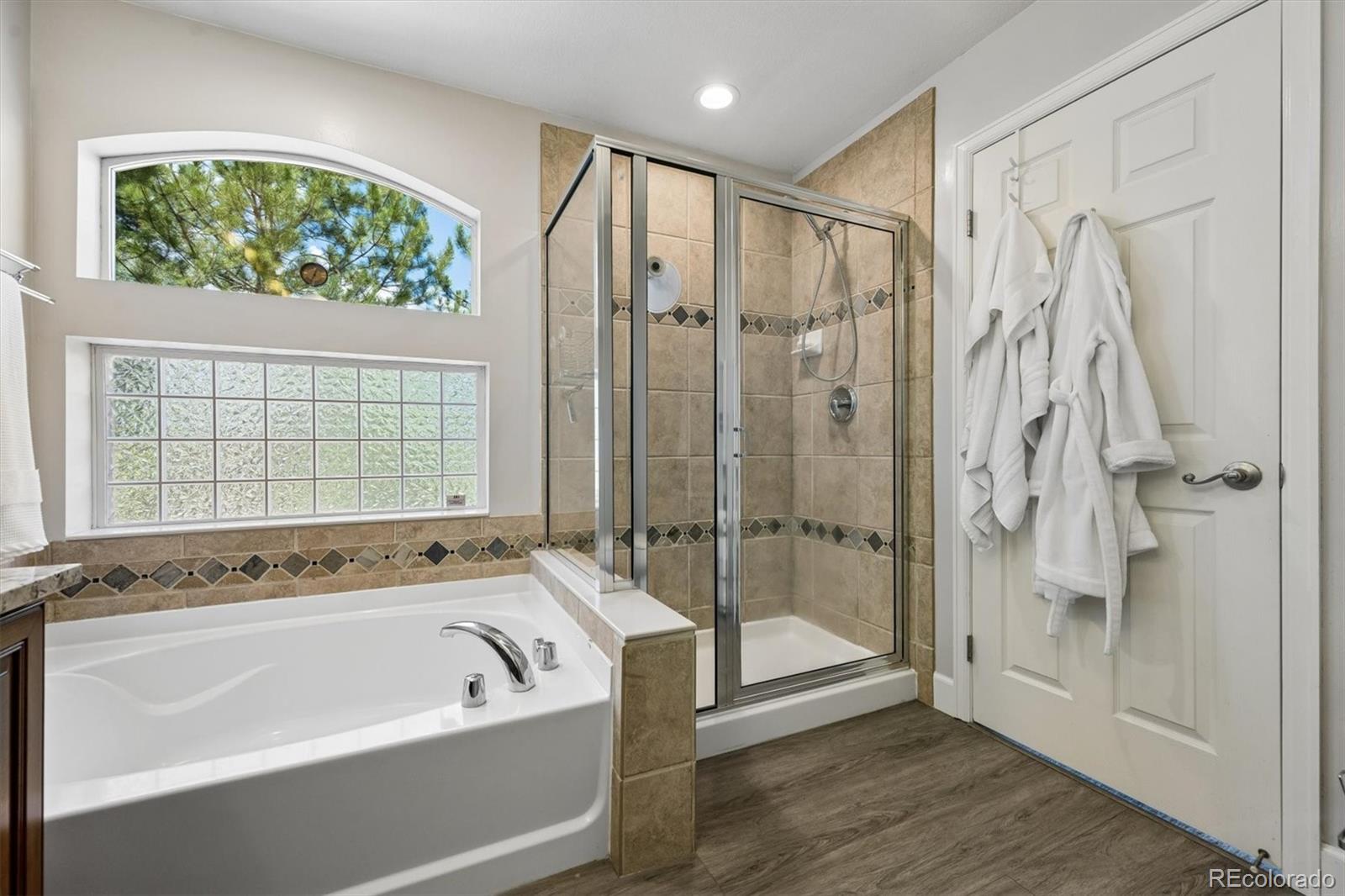 MLS Image #21 for 2529  cactus bloom court,castle rock, Colorado