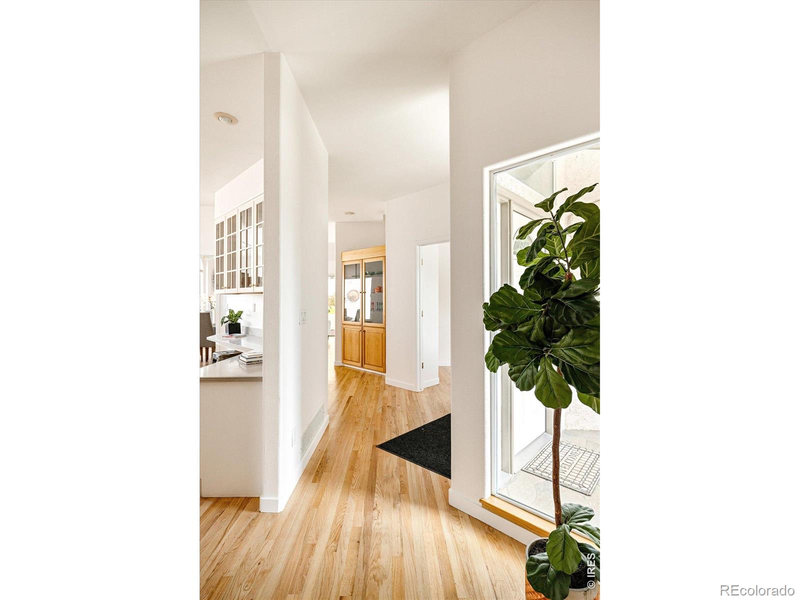 MLS Image #17 for 790  club circle,louisville, Colorado