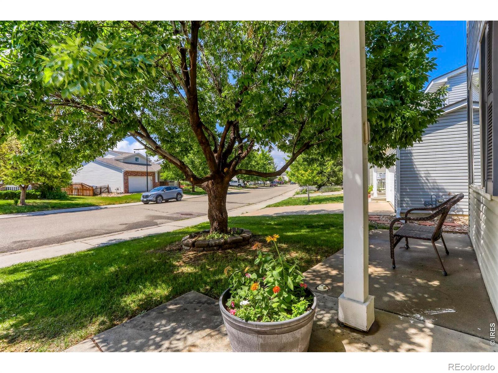 MLS Image #2 for 1245  fall river circle,longmont, Colorado