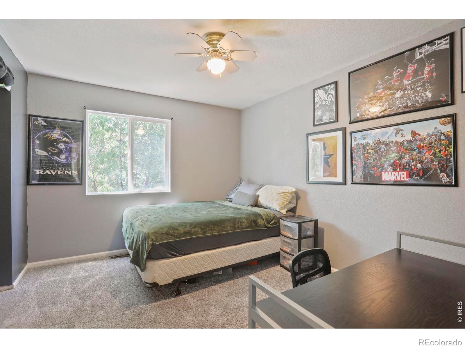 MLS Image #21 for 1245  fall river circle,longmont, Colorado