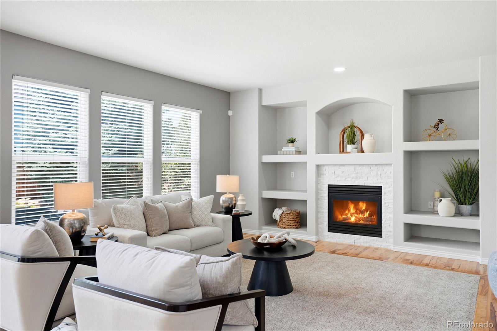 MLS Image #17 for 10635  clarke farms drive,parker, Colorado