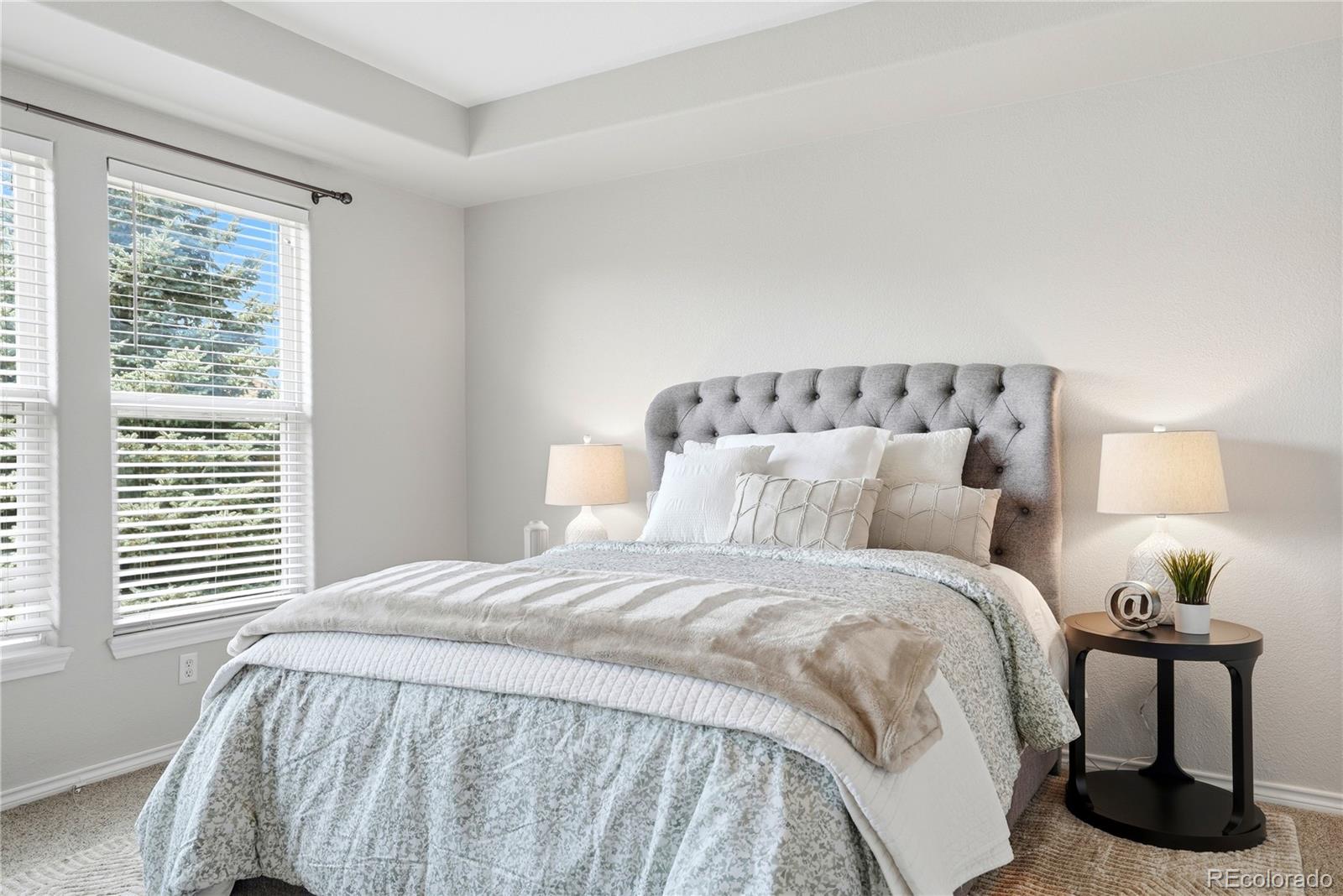 MLS Image #22 for 10635  clarke farms drive,parker, Colorado