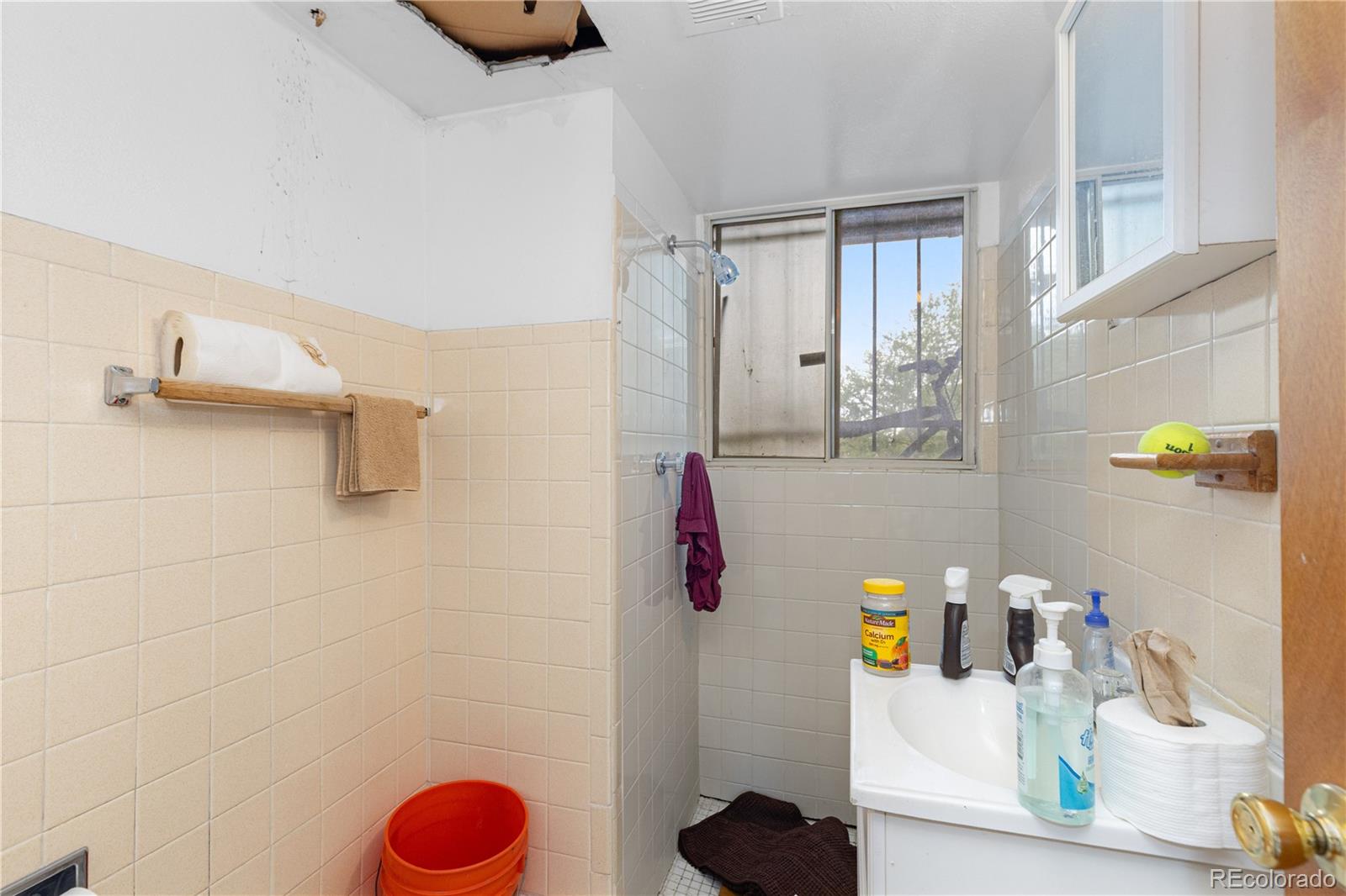 MLS Image #13 for 1259  dearborn street,aurora, Colorado