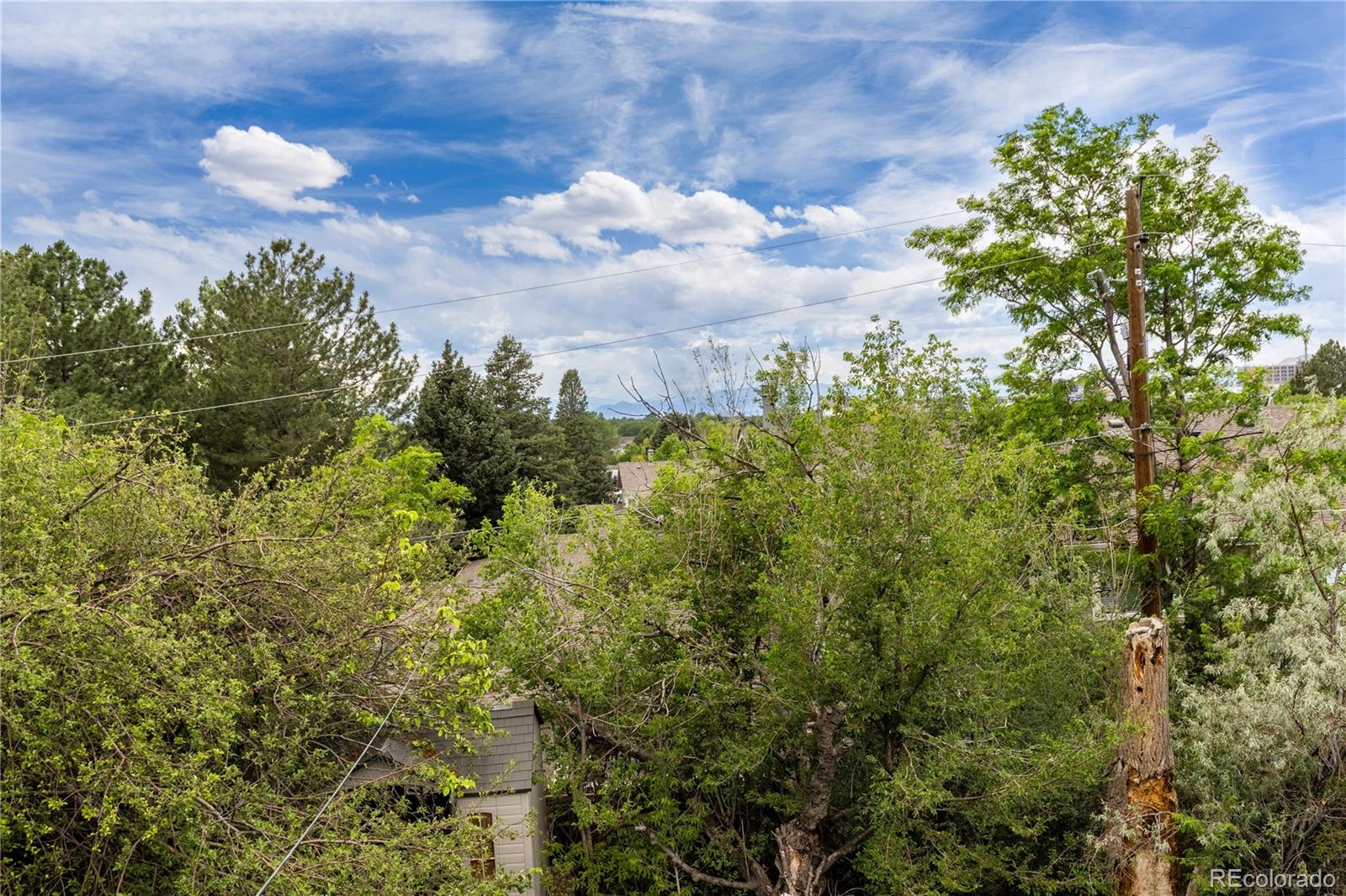 MLS Image #21 for 1259  dearborn street,aurora, Colorado