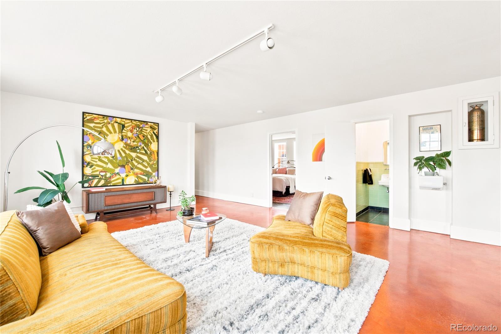MLS Image #10 for 375 s navajo street 2a,denver, Colorado