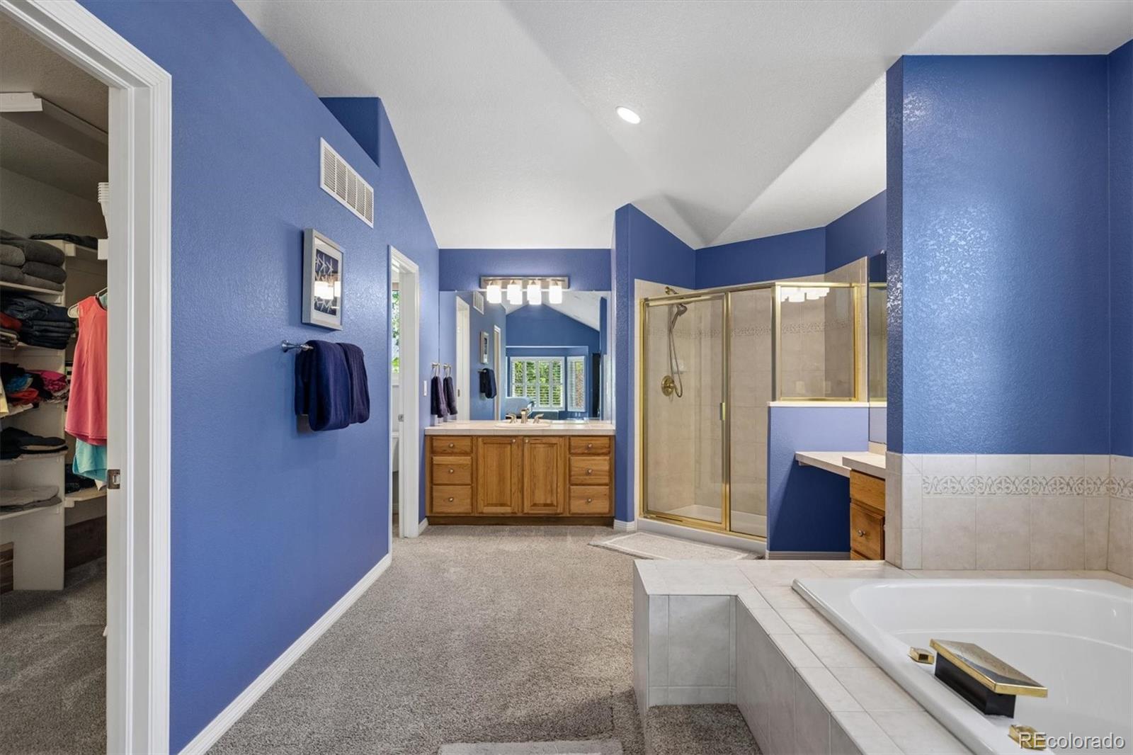 MLS Image #15 for 10955  puma cliff ,lone tree, Colorado