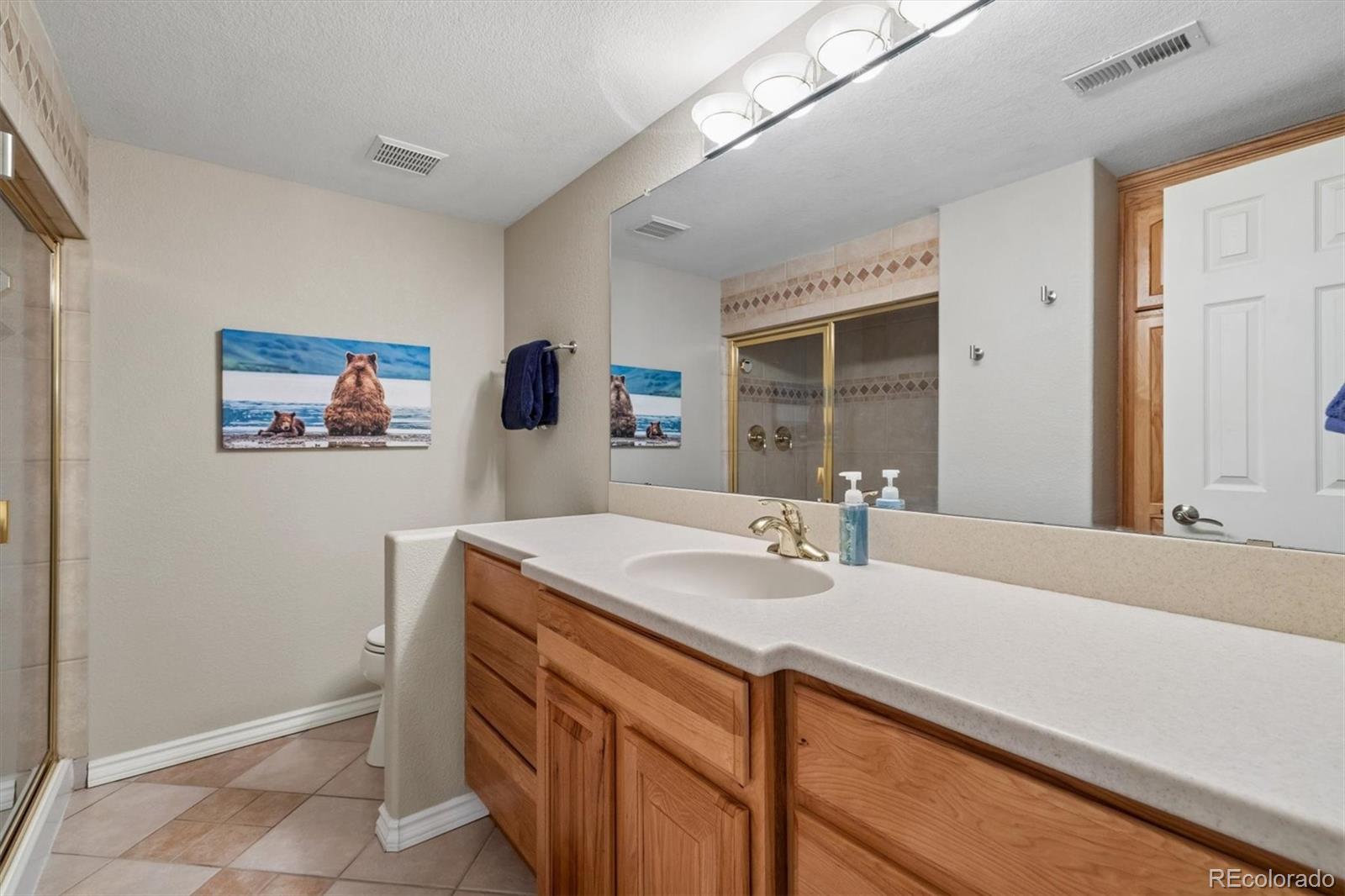 MLS Image #28 for 10955  puma cliff ,lone tree, Colorado