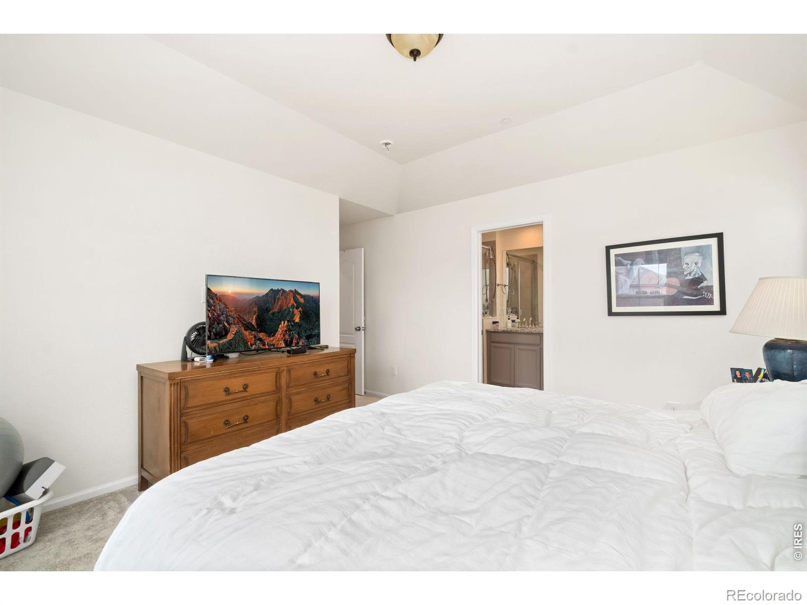 MLS Image #20 for 335  zeppelin way,fort collins, Colorado