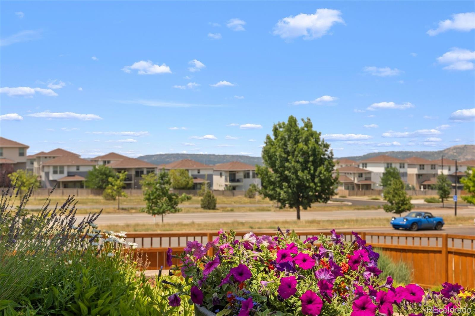 MLS Image #29 for 2963  night song way,castle rock, Colorado