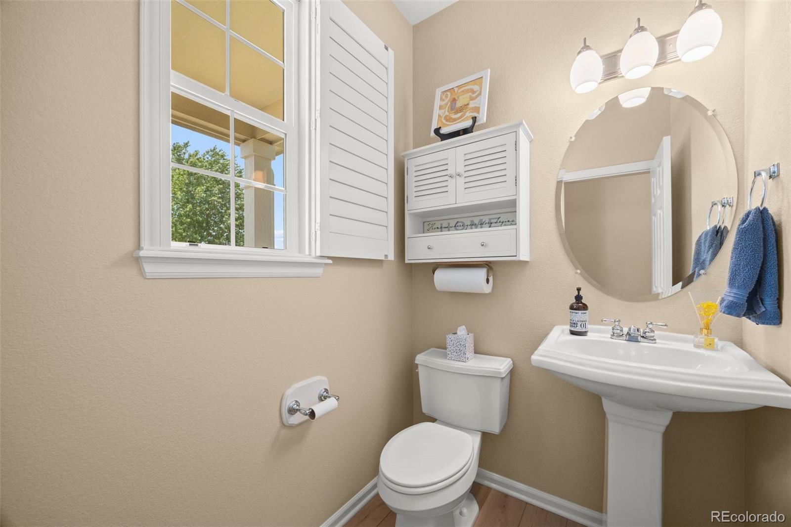 MLS Image #6 for 2963  night song way,castle rock, Colorado