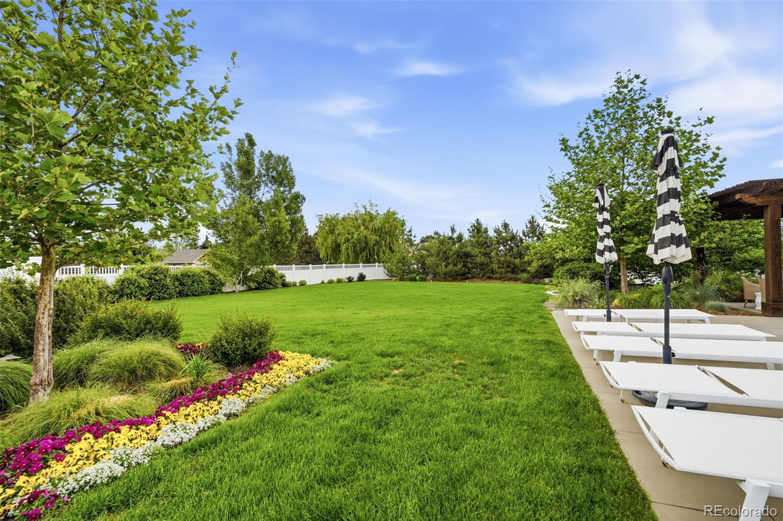 MLS Image #41 for 14570  clay street,broomfield, Colorado