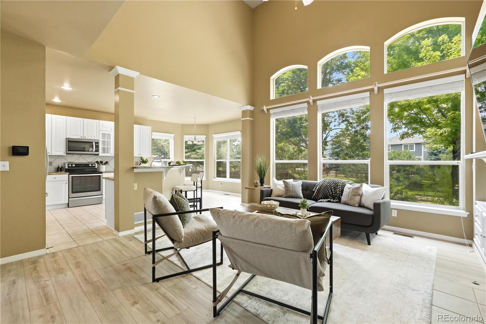 MLS Image #15 for 10205  riverstone drive,parker, Colorado