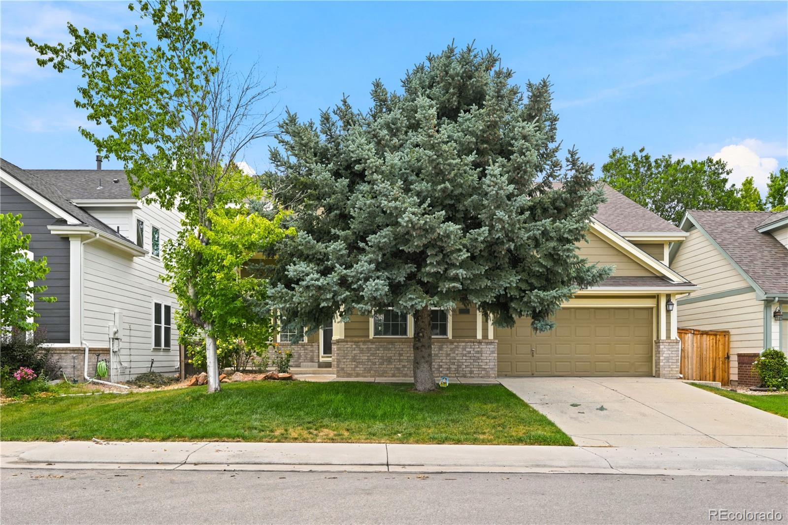 MLS Image #3 for 10205  riverstone drive,parker, Colorado