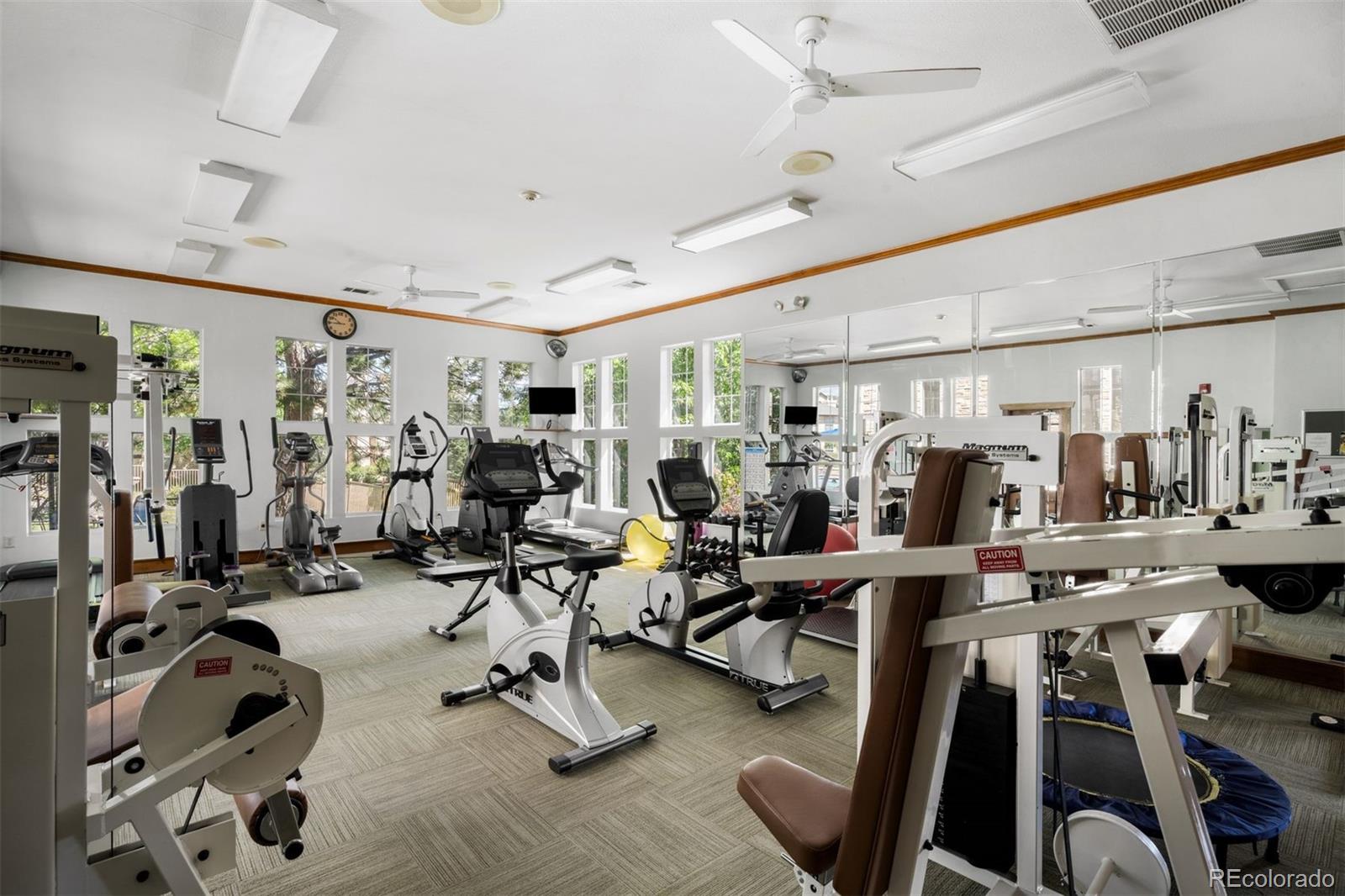 MLS Image #21 for 7412 s quail circle 1227,littleton, Colorado
