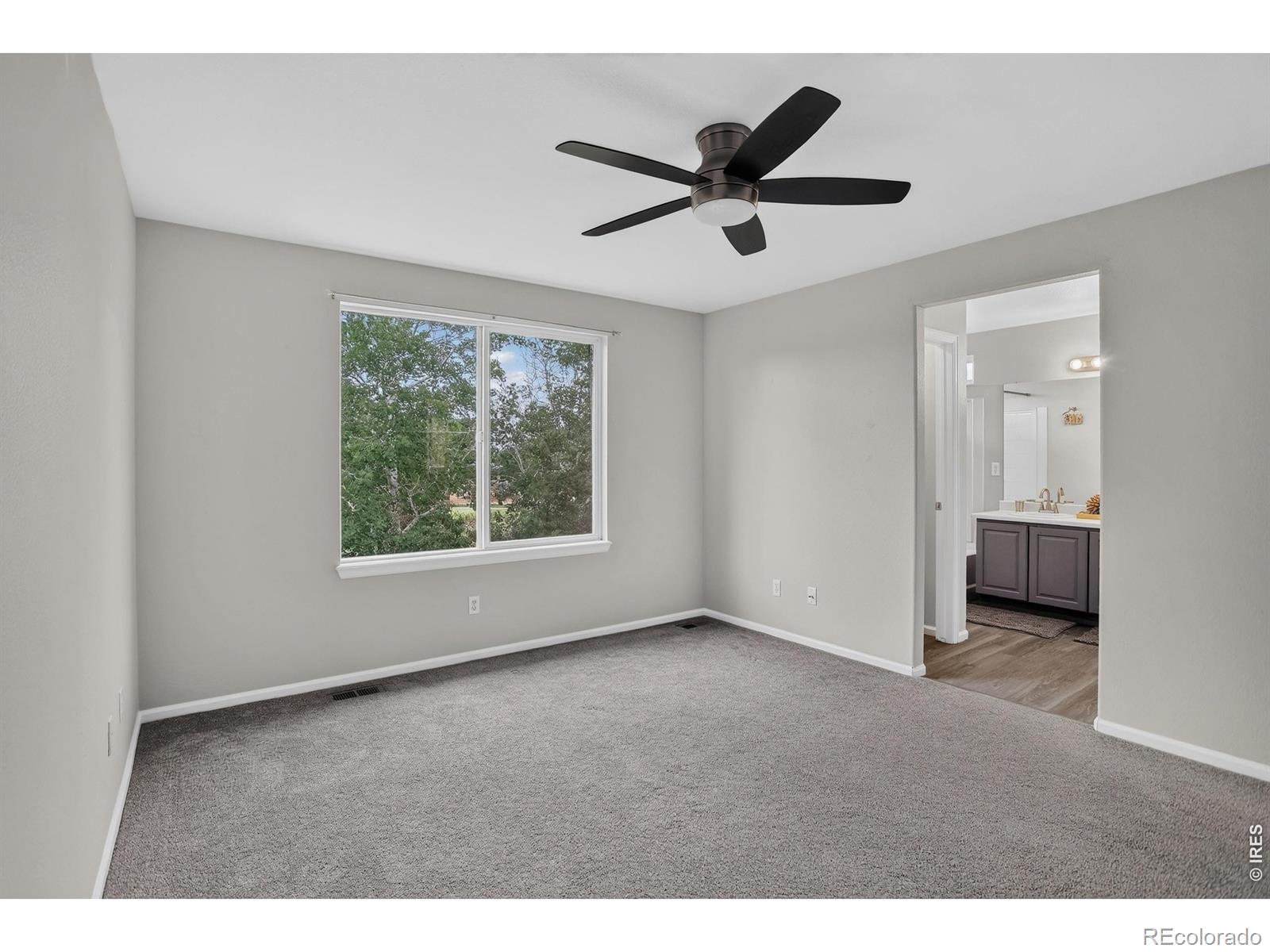 MLS Image #14 for 11421  ebony street,firestone, Colorado