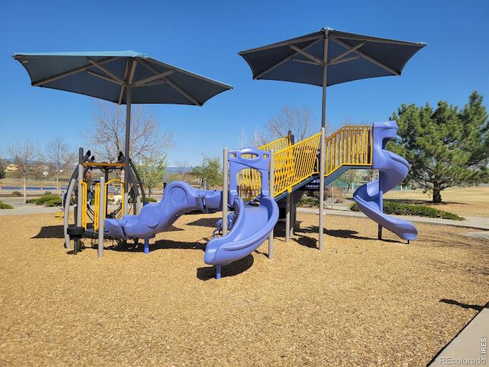 MLS Image #30 for 11421  ebony street,firestone, Colorado