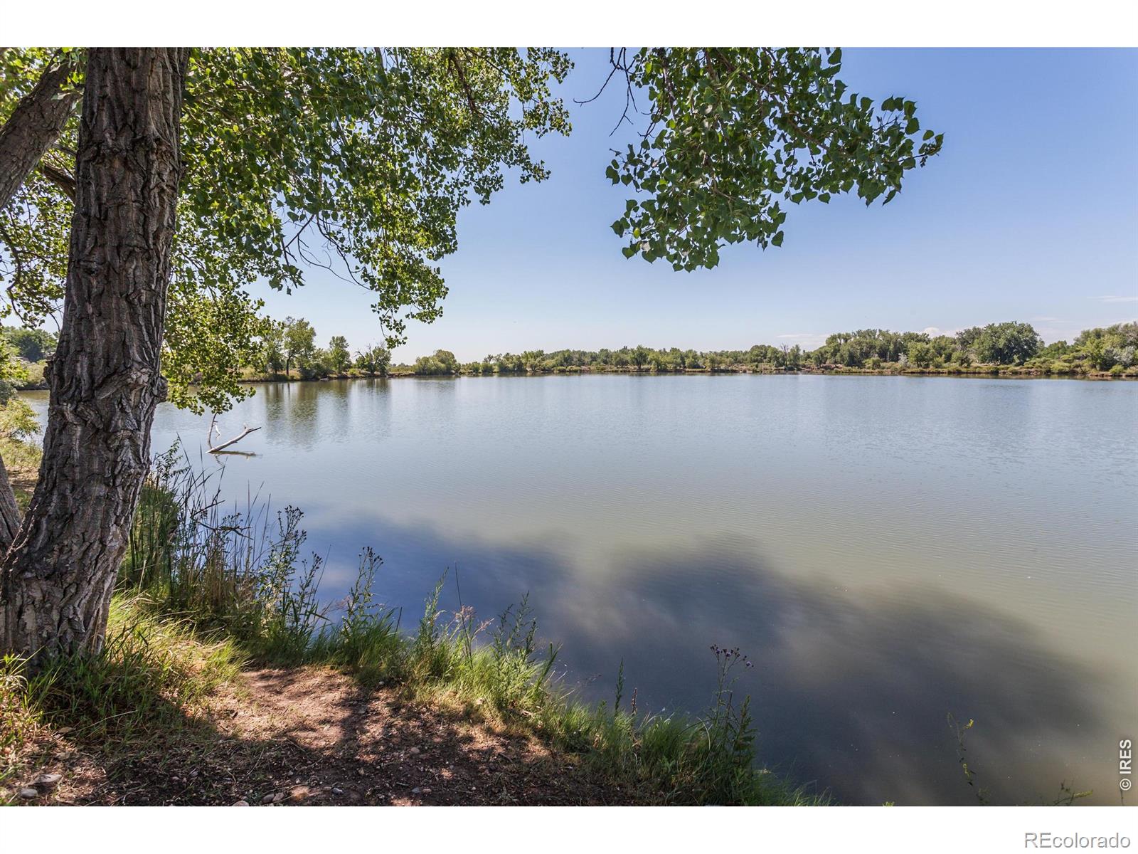 MLS Image #41 for 609  eric street,fort collins, Colorado