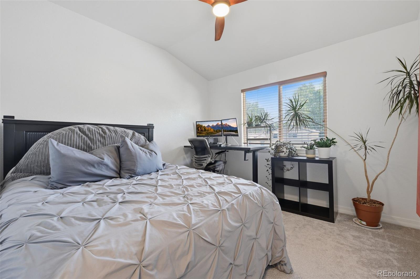 MLS Image #19 for 4045  siferd boulevard ,colorado springs, Colorado