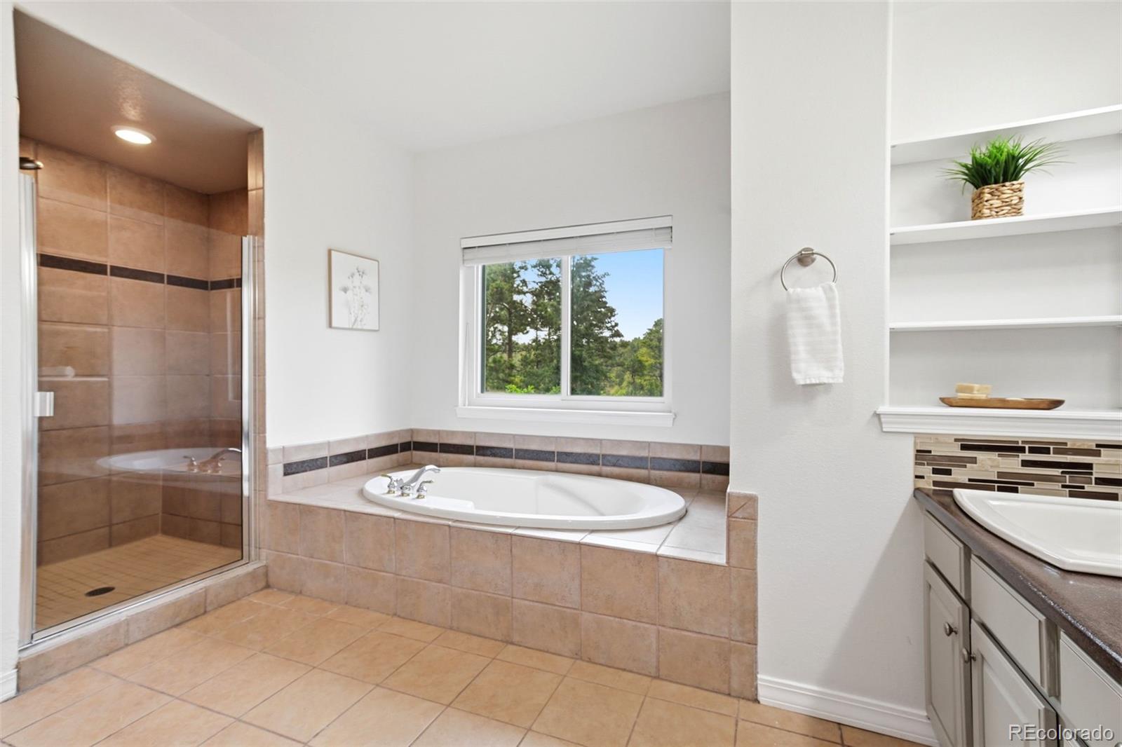 MLS Image #17 for 1005  woodmoor drive,monument, Colorado