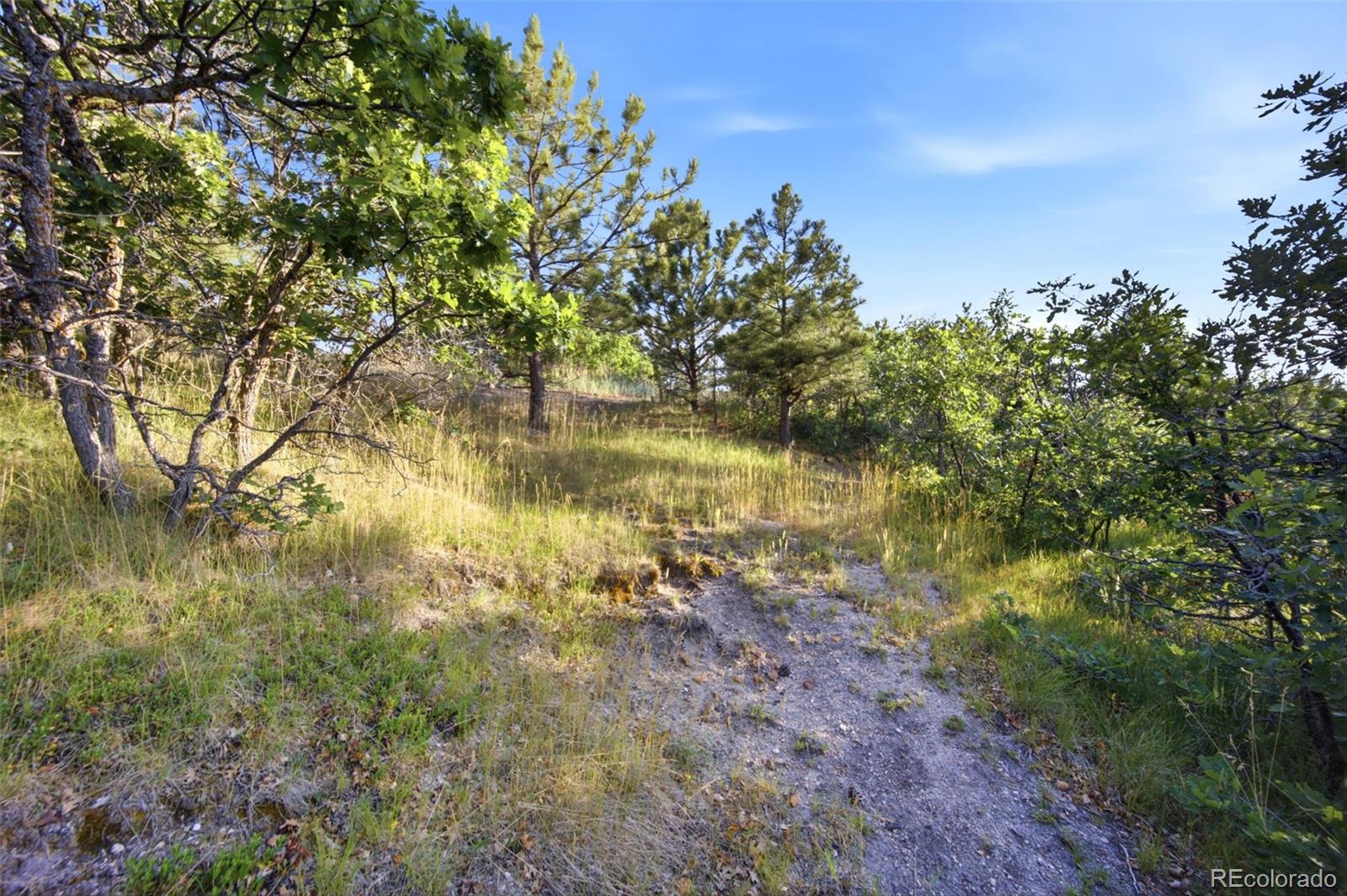 MLS Image #44 for 1005  woodmoor drive,monument, Colorado