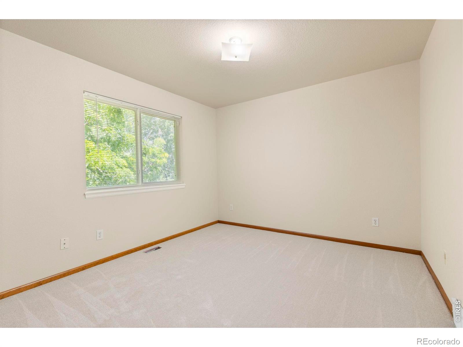 MLS Image #22 for 121 w ilex court,milliken, Colorado