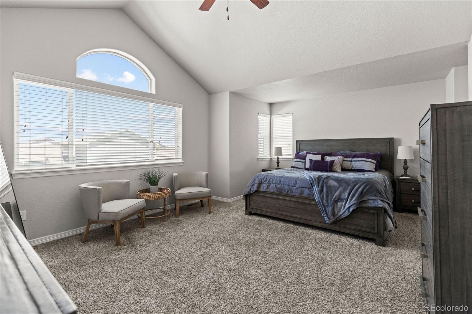 MLS Image #13 for 14877  lineback drive,mead, Colorado