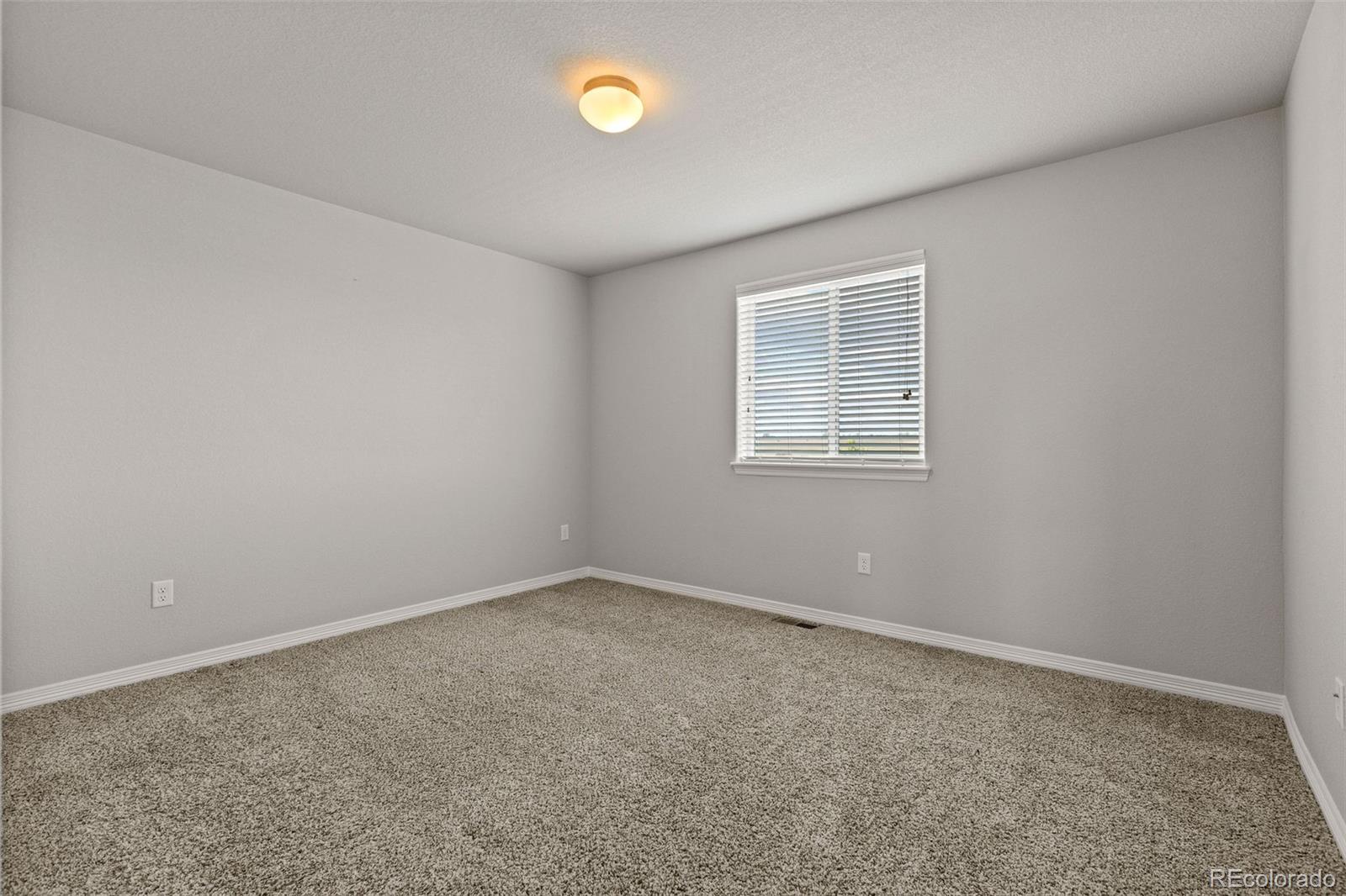 MLS Image #19 for 14877  lineback drive,mead, Colorado