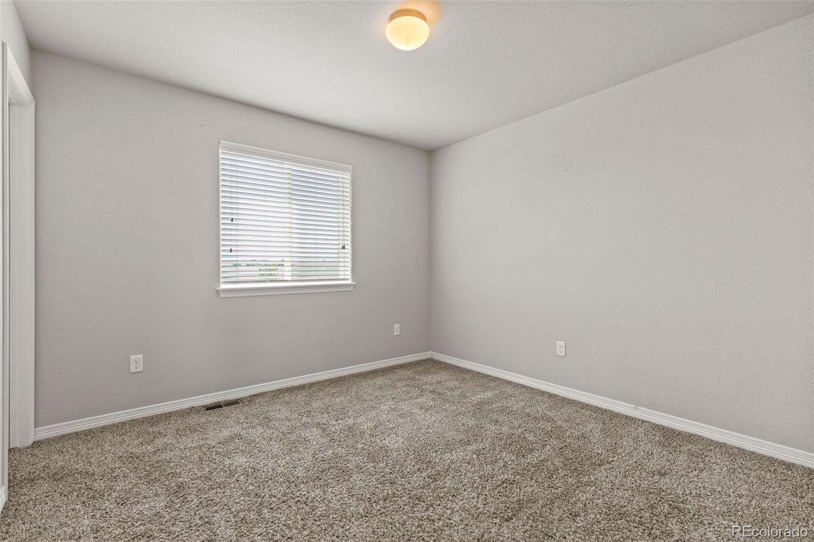 MLS Image #20 for 14877  lineback drive,mead, Colorado