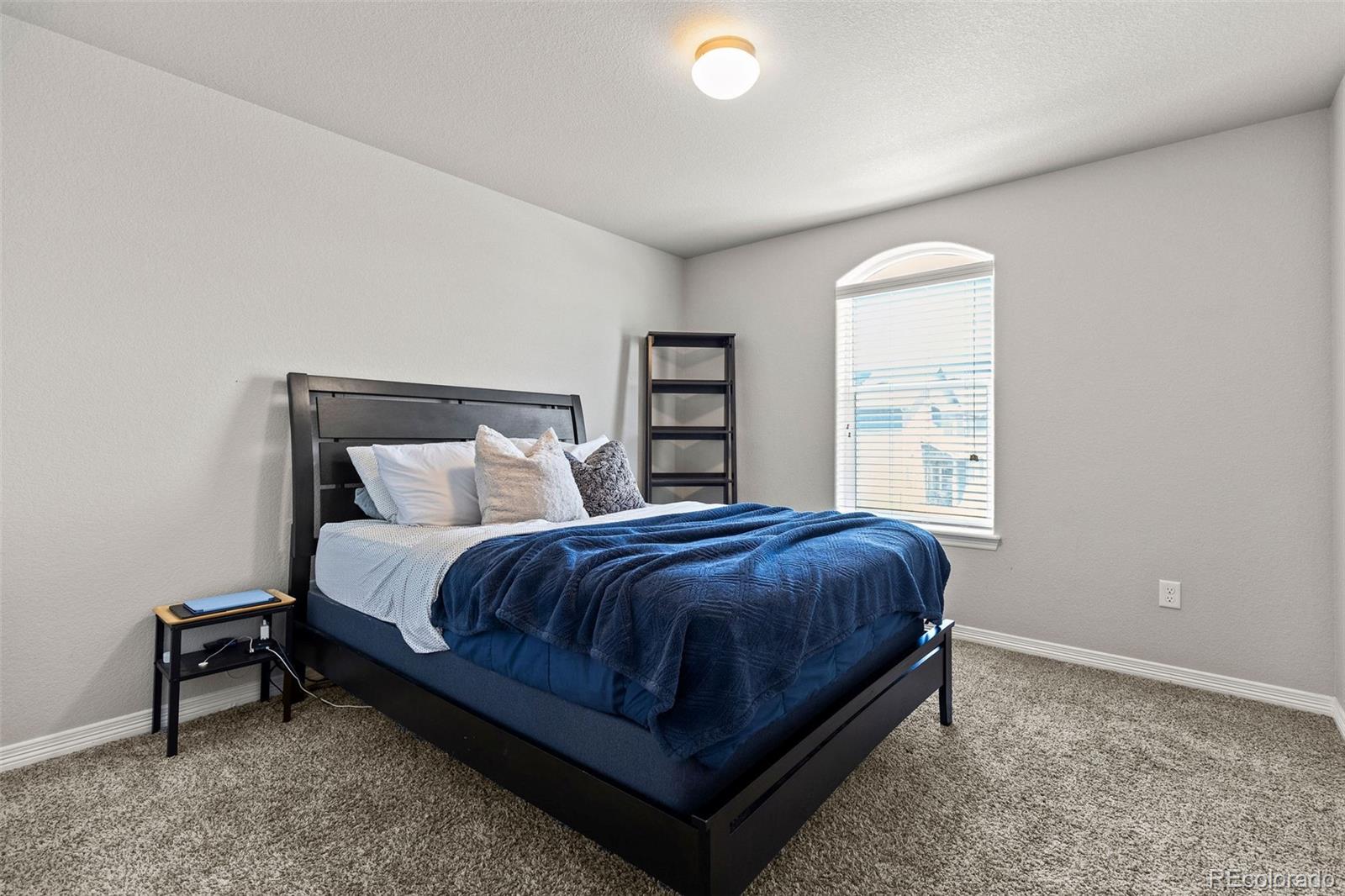 MLS Image #22 for 14877  lineback drive,mead, Colorado