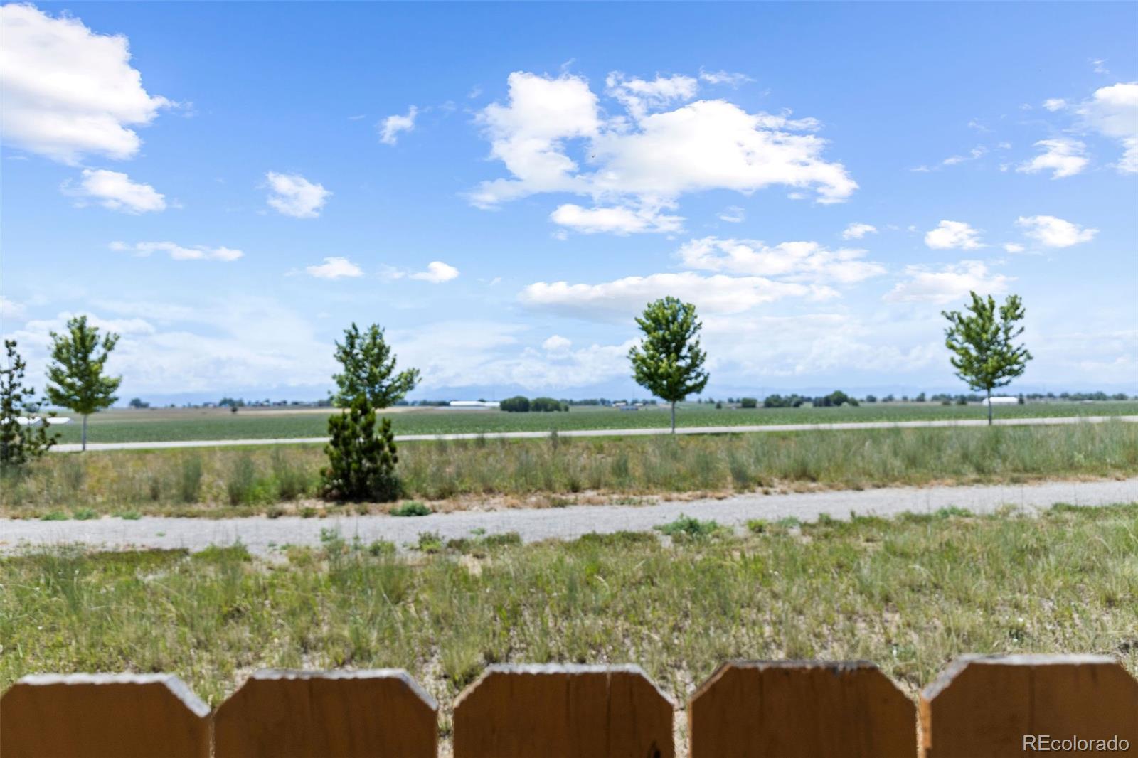 MLS Image #31 for 14877  lineback drive,mead, Colorado