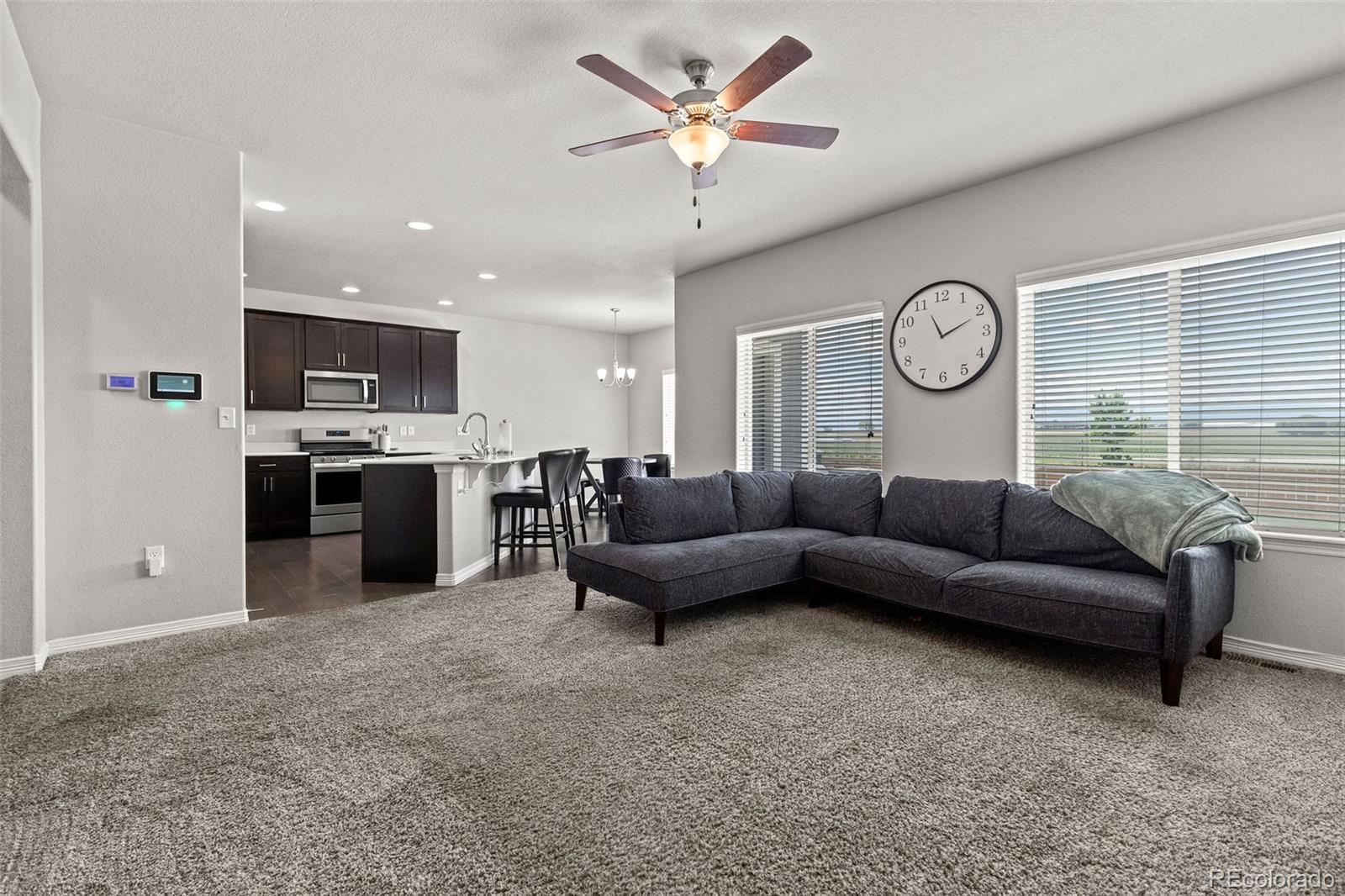 MLS Image #6 for 14877  lineback drive,mead, Colorado