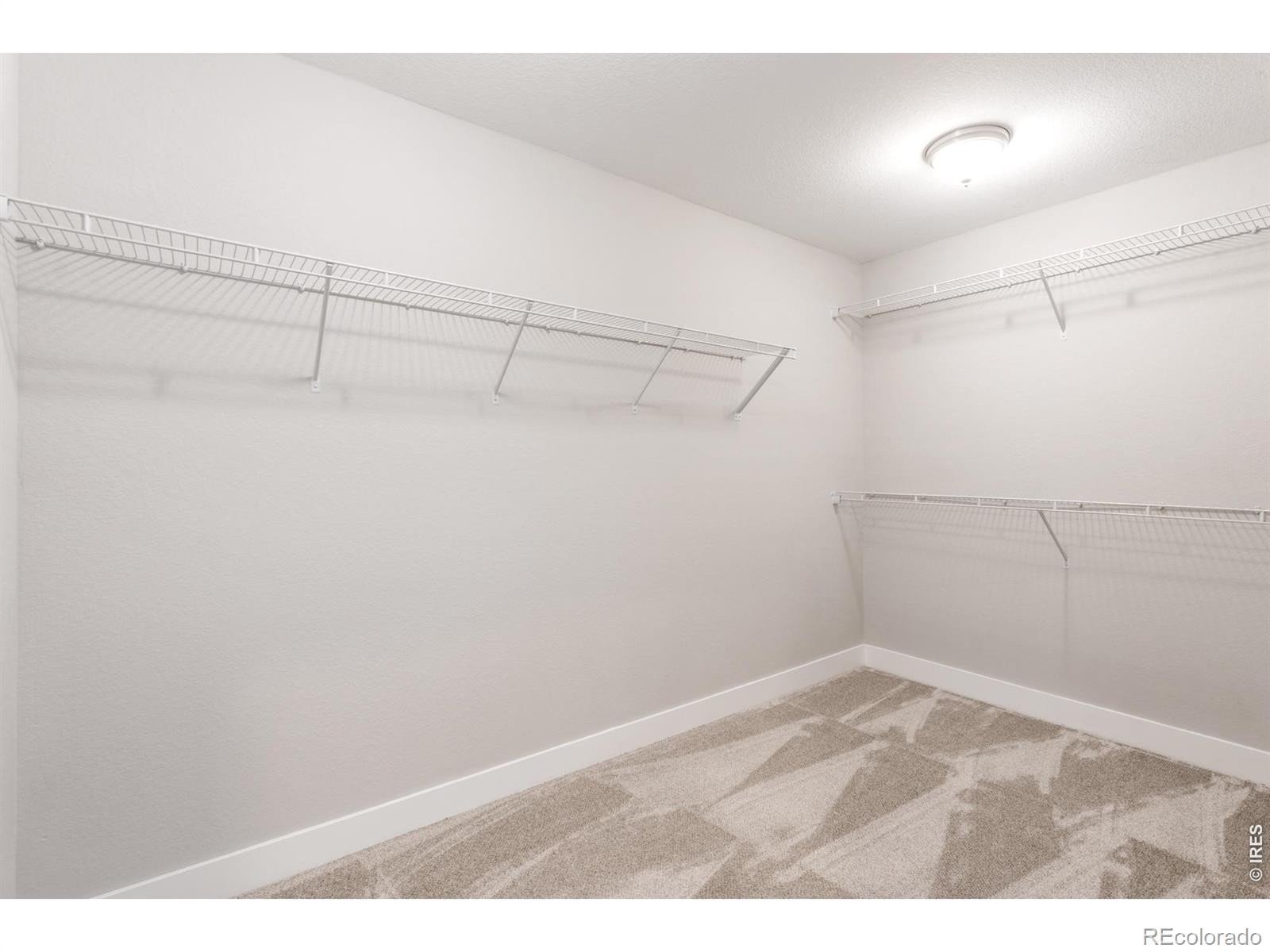 MLS Image #20 for 813  grandview mdws drive,longmont, Colorado