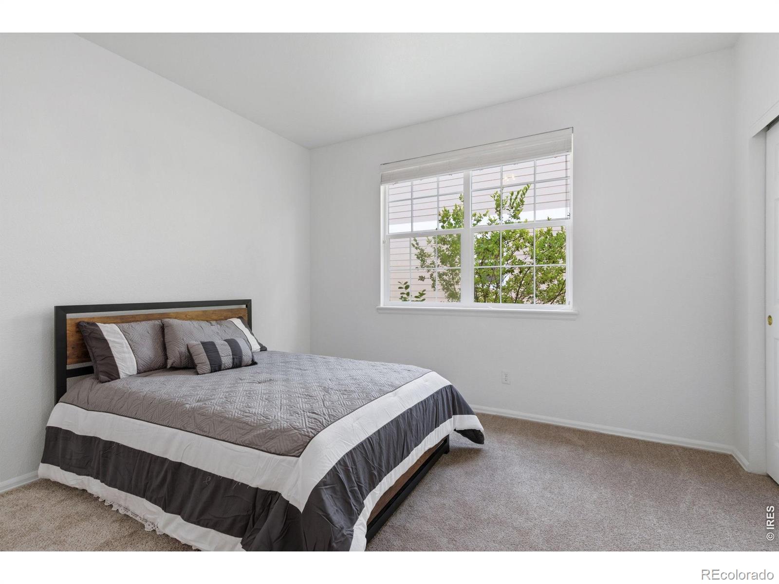 MLS Image #23 for 2732  william neal parkway,fort collins, Colorado