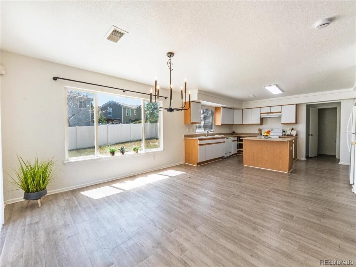 MLS Image #5 for 4974  fundy street,denver, Colorado