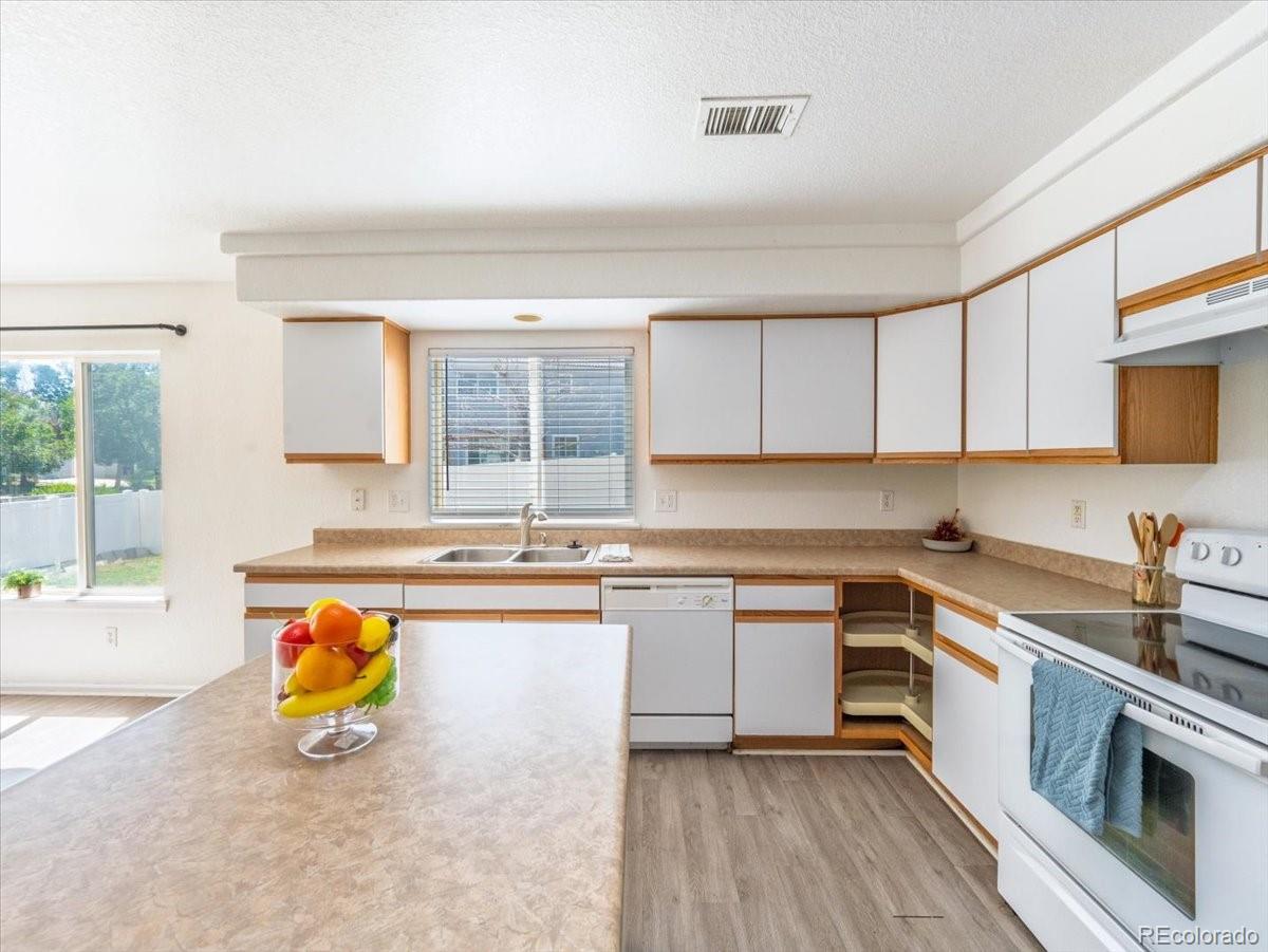 MLS Image #8 for 4974  fundy street,denver, Colorado