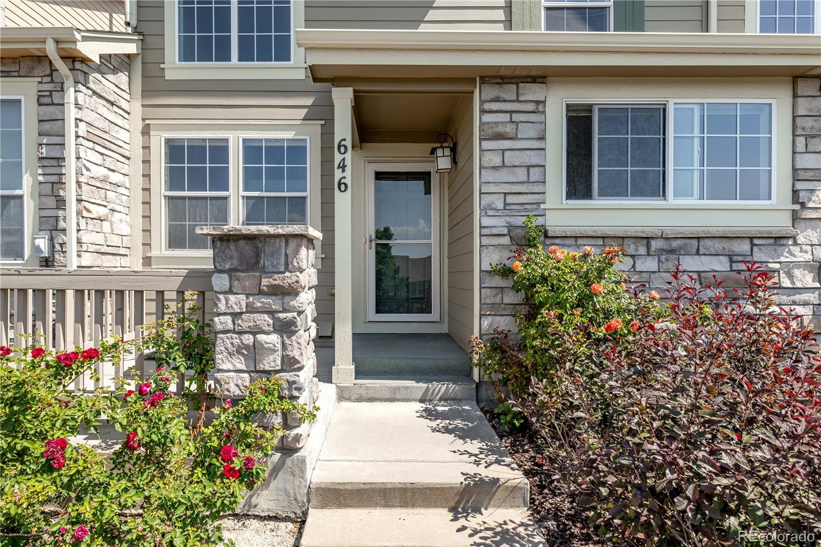 MLS Image #1 for 646  hanging rock place,castle rock, Colorado