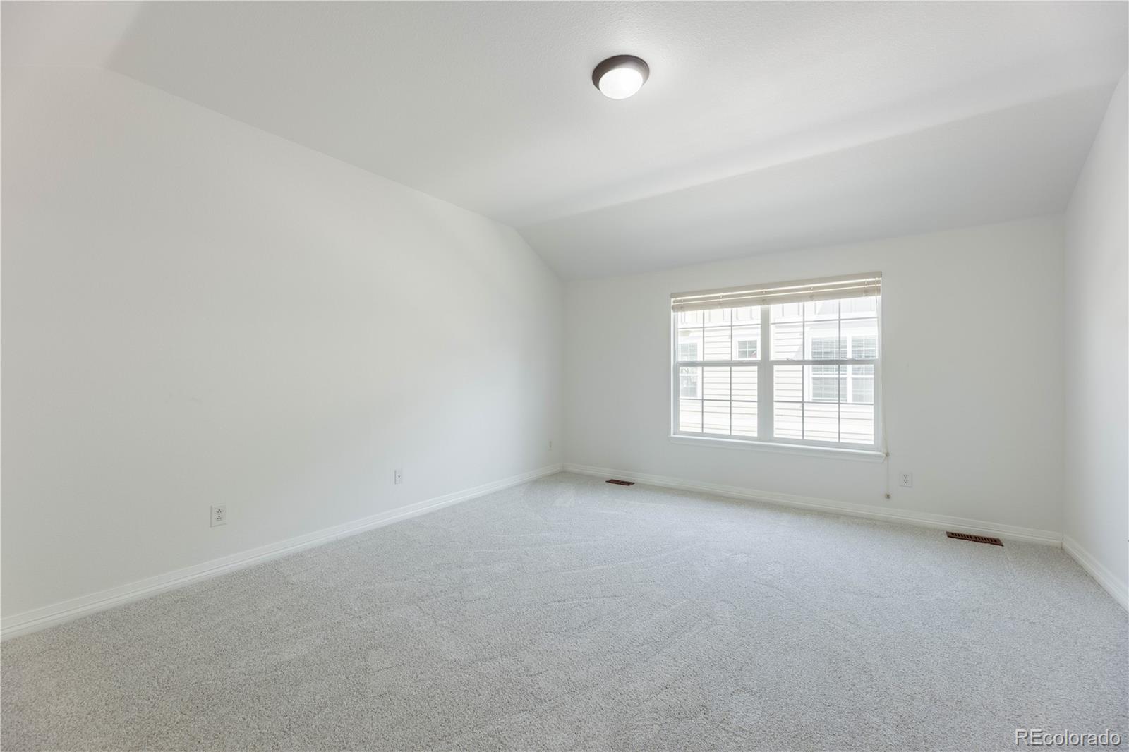 MLS Image #17 for 646  hanging rock place,castle rock, Colorado