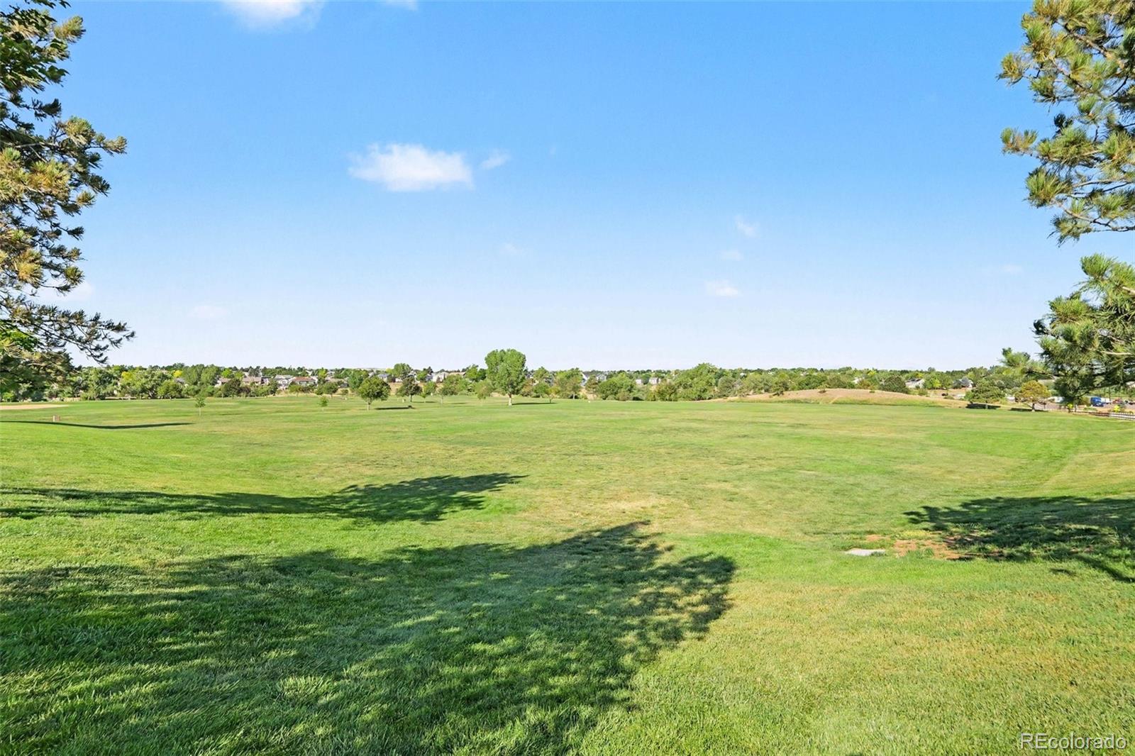 MLS Image #23 for 9678  rockhampton way,highlands ranch, Colorado