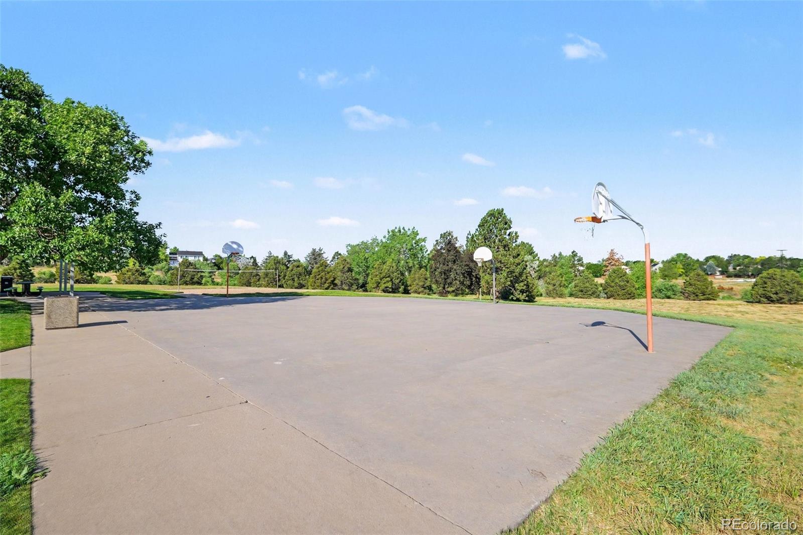 MLS Image #27 for 9678  rockhampton way,highlands ranch, Colorado