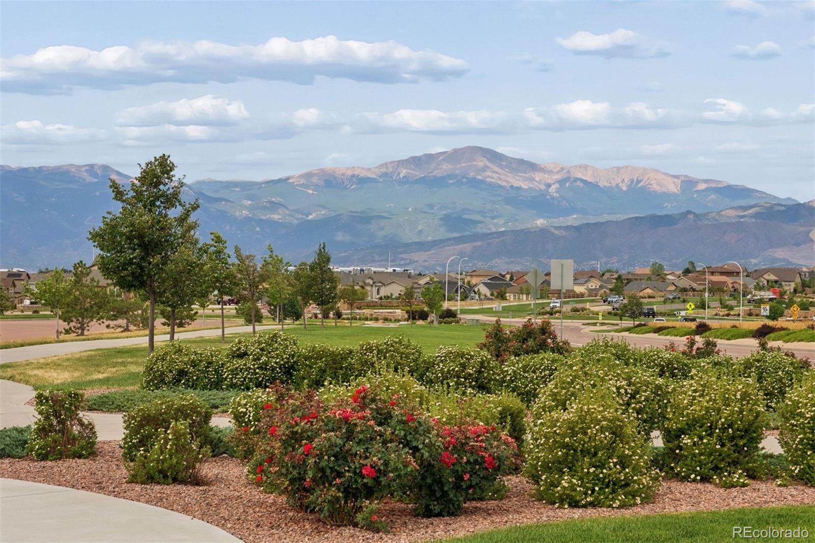 MLS Image #1 for 9807  wolf lake drive,colorado springs, Colorado