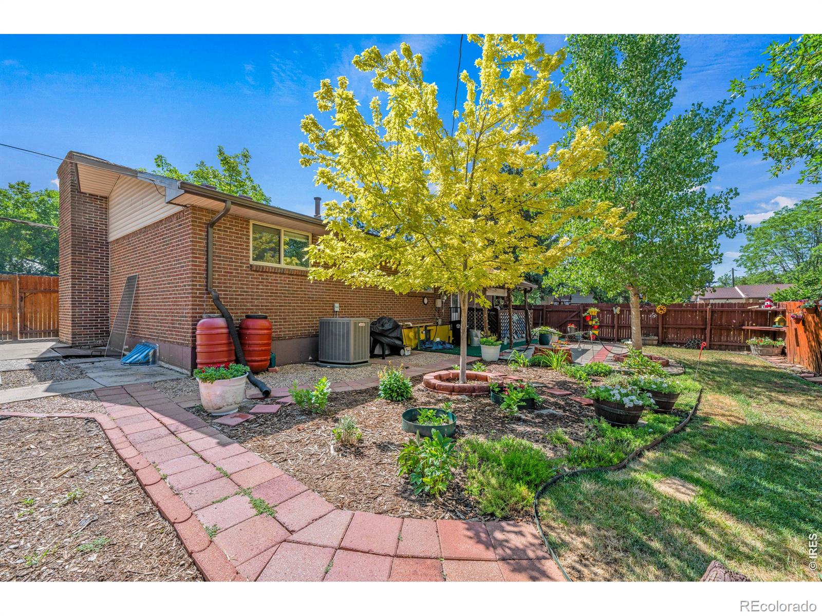 MLS Image #1 for 1429  lashley street,longmont, Colorado