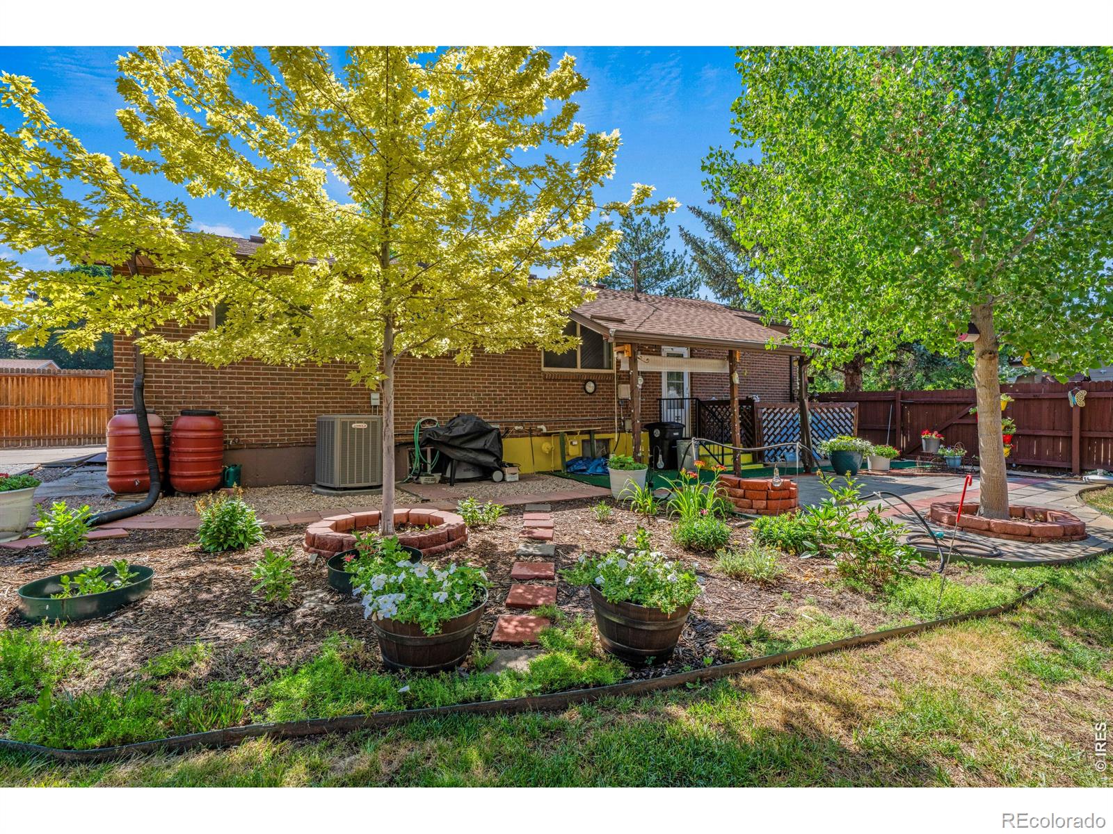 MLS Image #10 for 1429  lashley street,longmont, Colorado