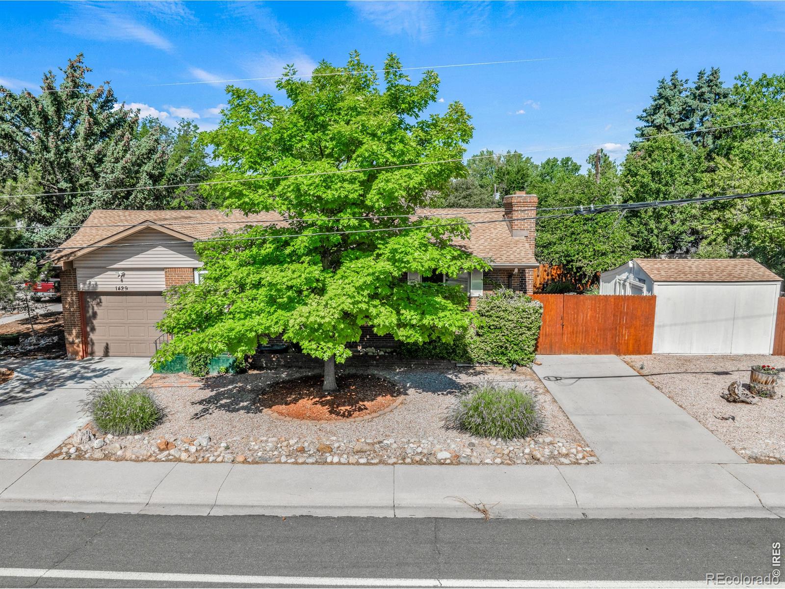 MLS Image #2 for 1429  lashley street,longmont, Colorado