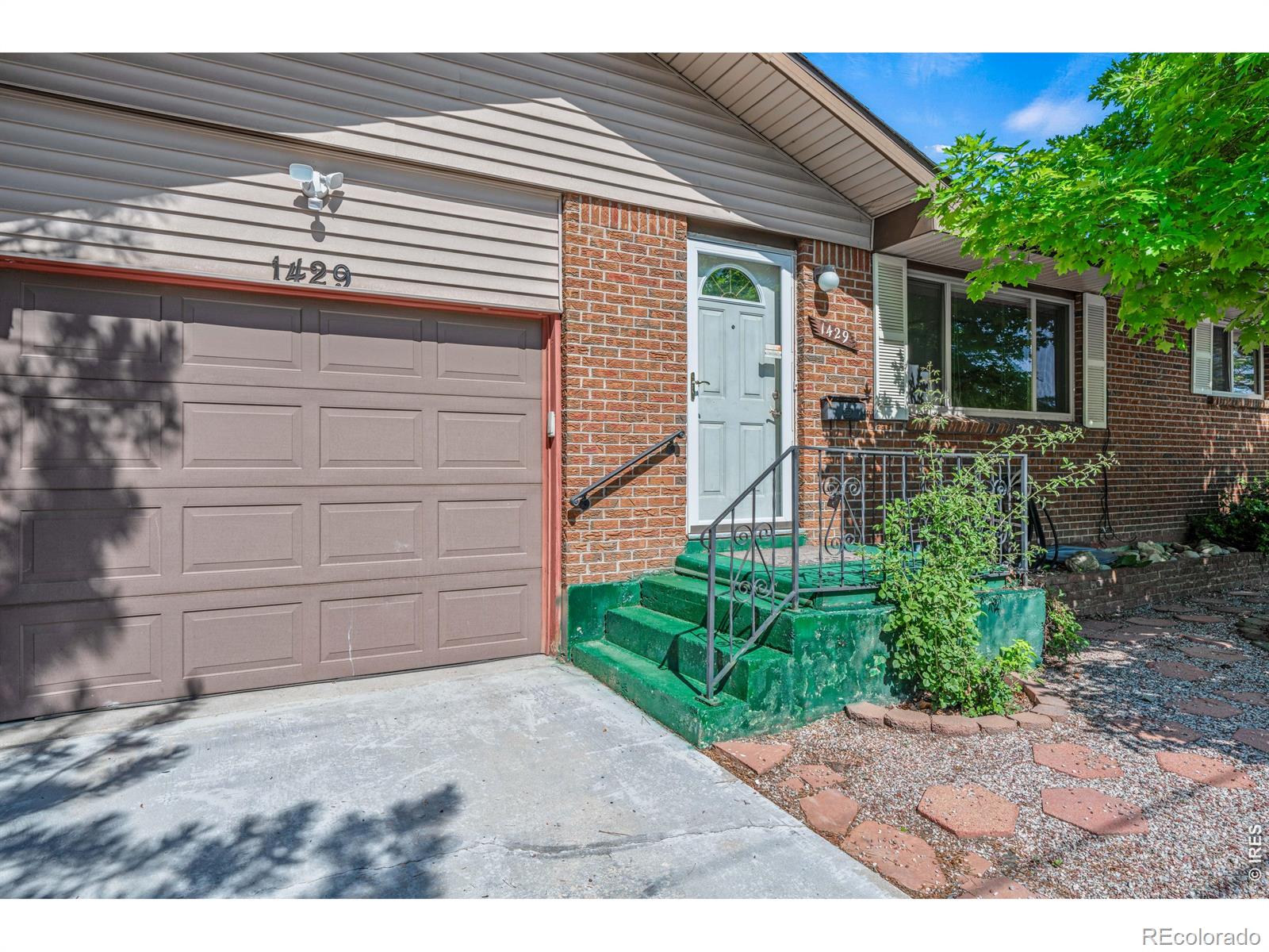 MLS Image #4 for 1429  lashley street,longmont, Colorado