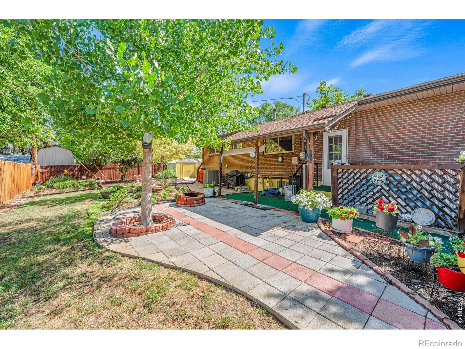 MLS Image #8 for 1429  lashley street,longmont, Colorado