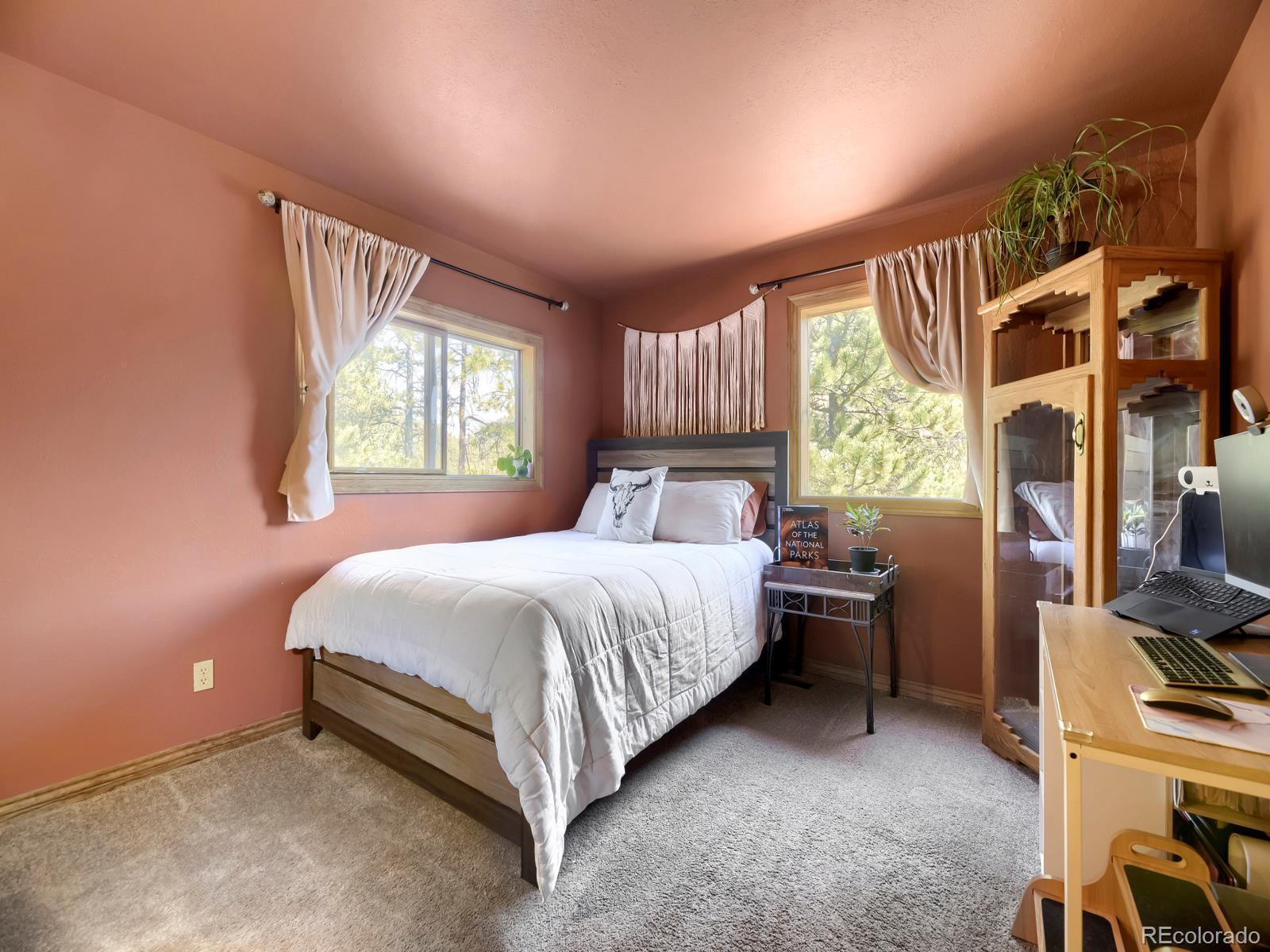 MLS Image #11 for 1423  roland drive,bailey, Colorado