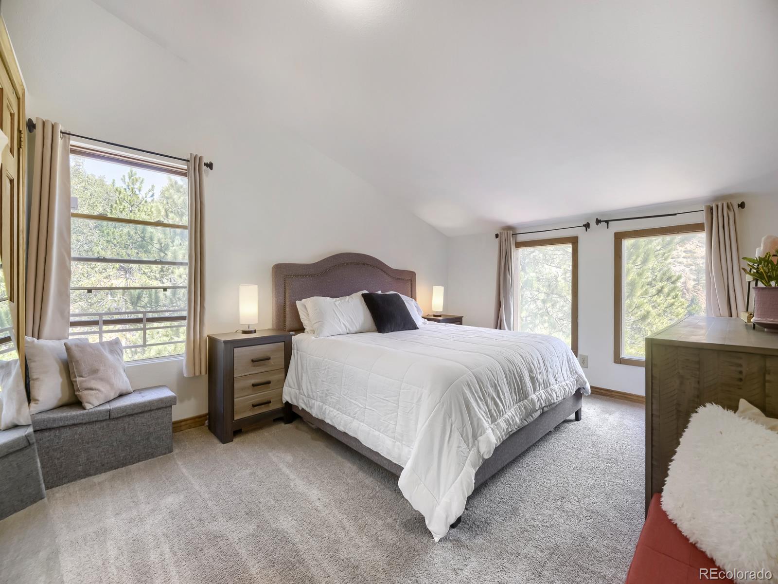 MLS Image #13 for 1423  roland drive,bailey, Colorado